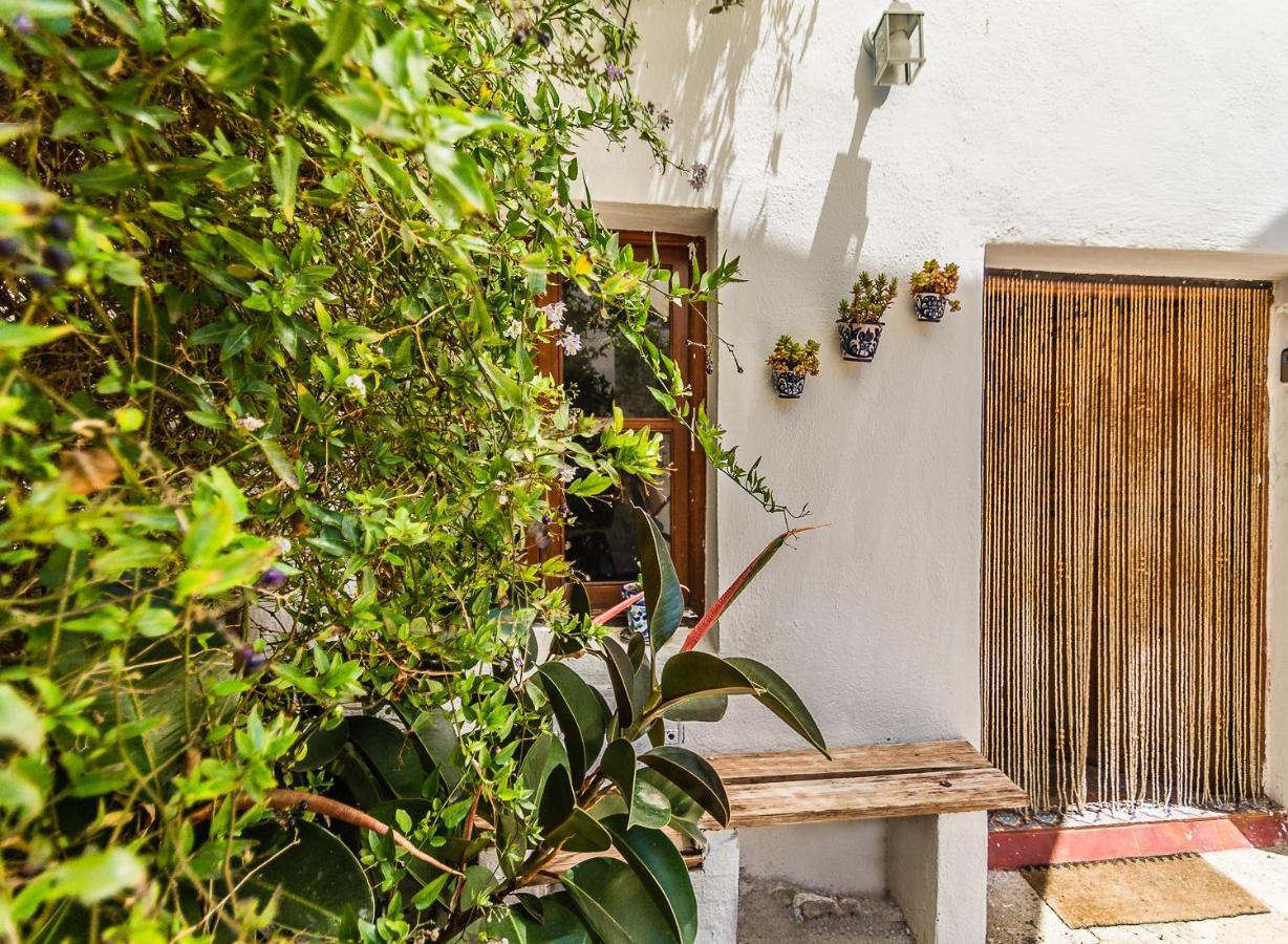 Casa Mundo - 16Th Century Traditional White Village House With Pool Pinos del Valle Luaran gambar